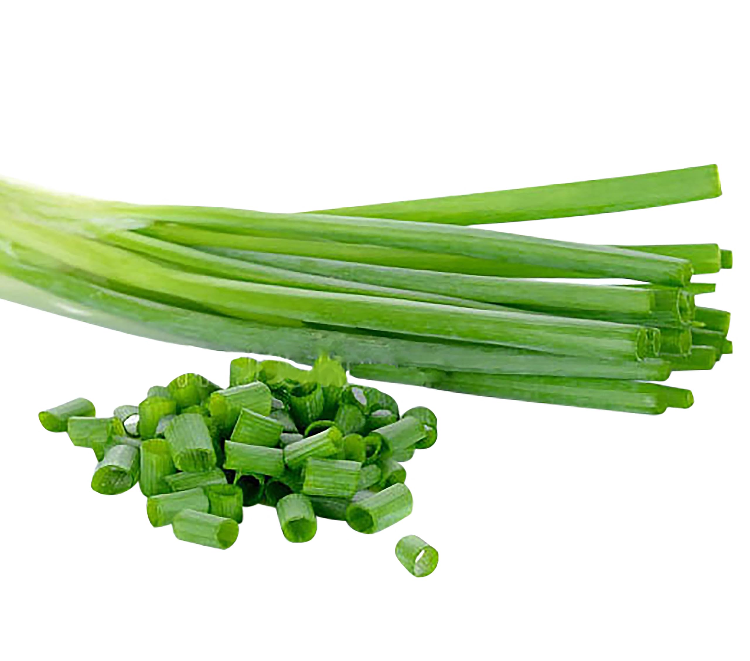 Marde Ross & Company green onions growing in a garden bed for a fresh harvest.