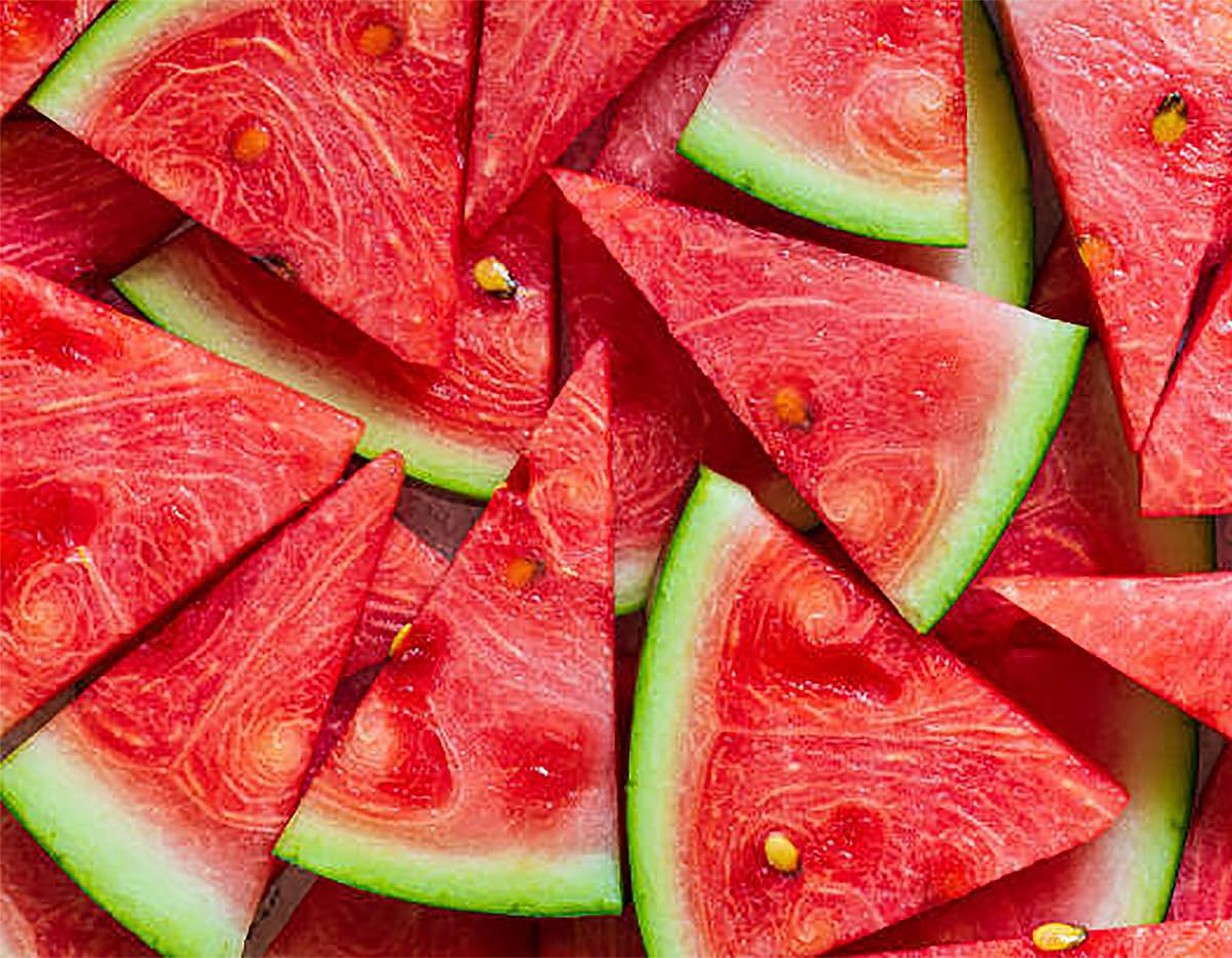 Jubilee watermelon fruit on vine showing giant size and weight.