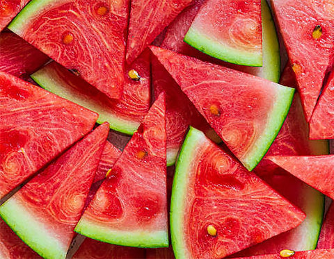 Jubilee watermelon fruit on vine showing giant size and weight.