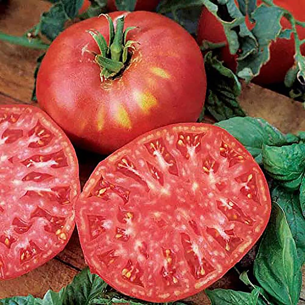 Marde Ross Pink Brandywine seed packet ready for home planting