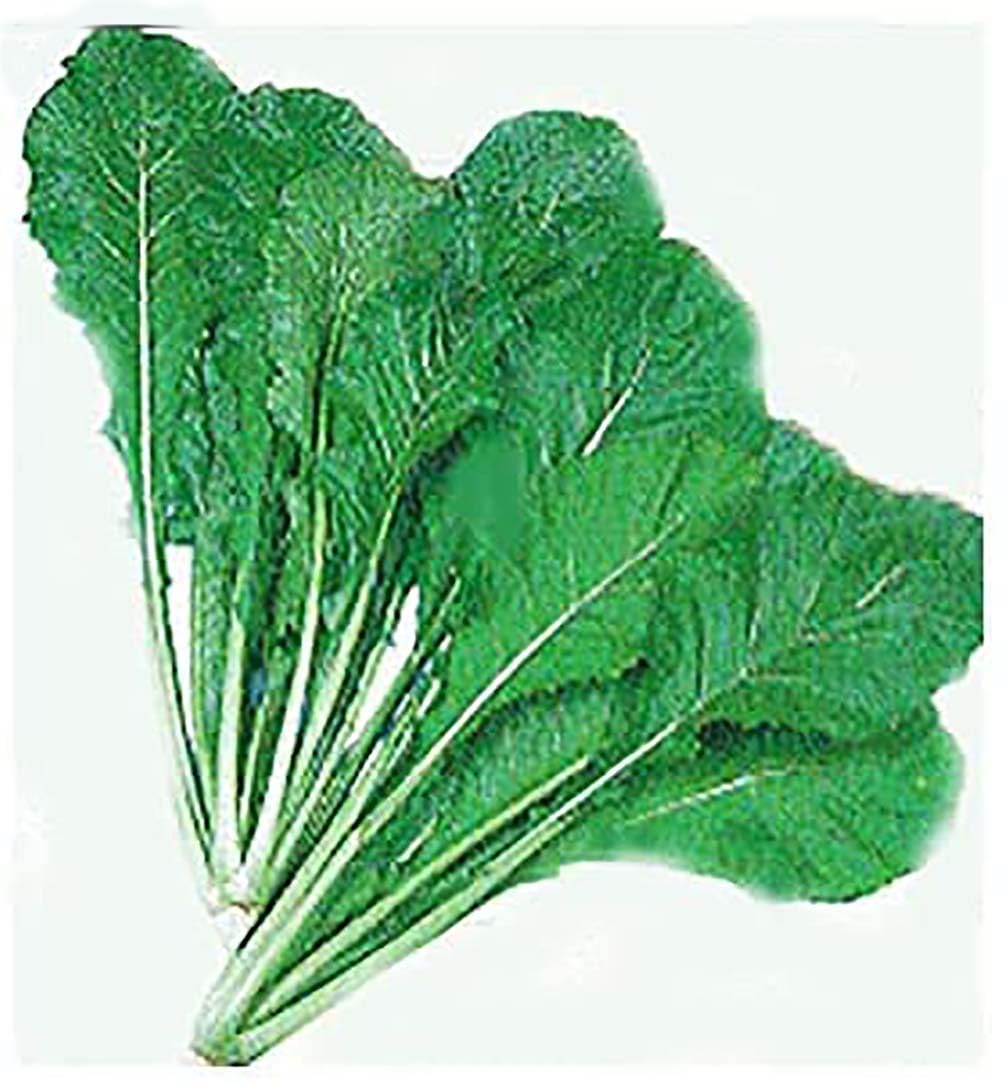 Marde Ross Seven Top greens closeup highlights tender leaves ideal for steaming.