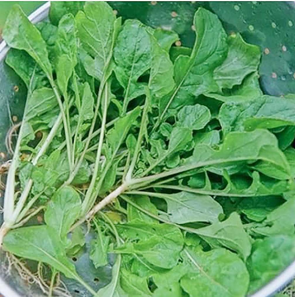Marde Ross Seven Top turnip greens seeds packshot highlights lush leaves for fresh salads.