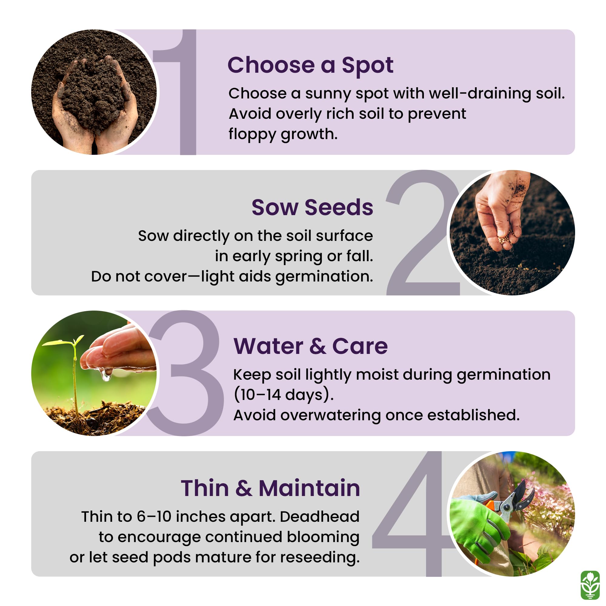 Germination guaranteed when seeds are stored properly by Marde Ross.