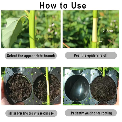 Markeny easy-installation buckle design ensures secure attachment during propagation.