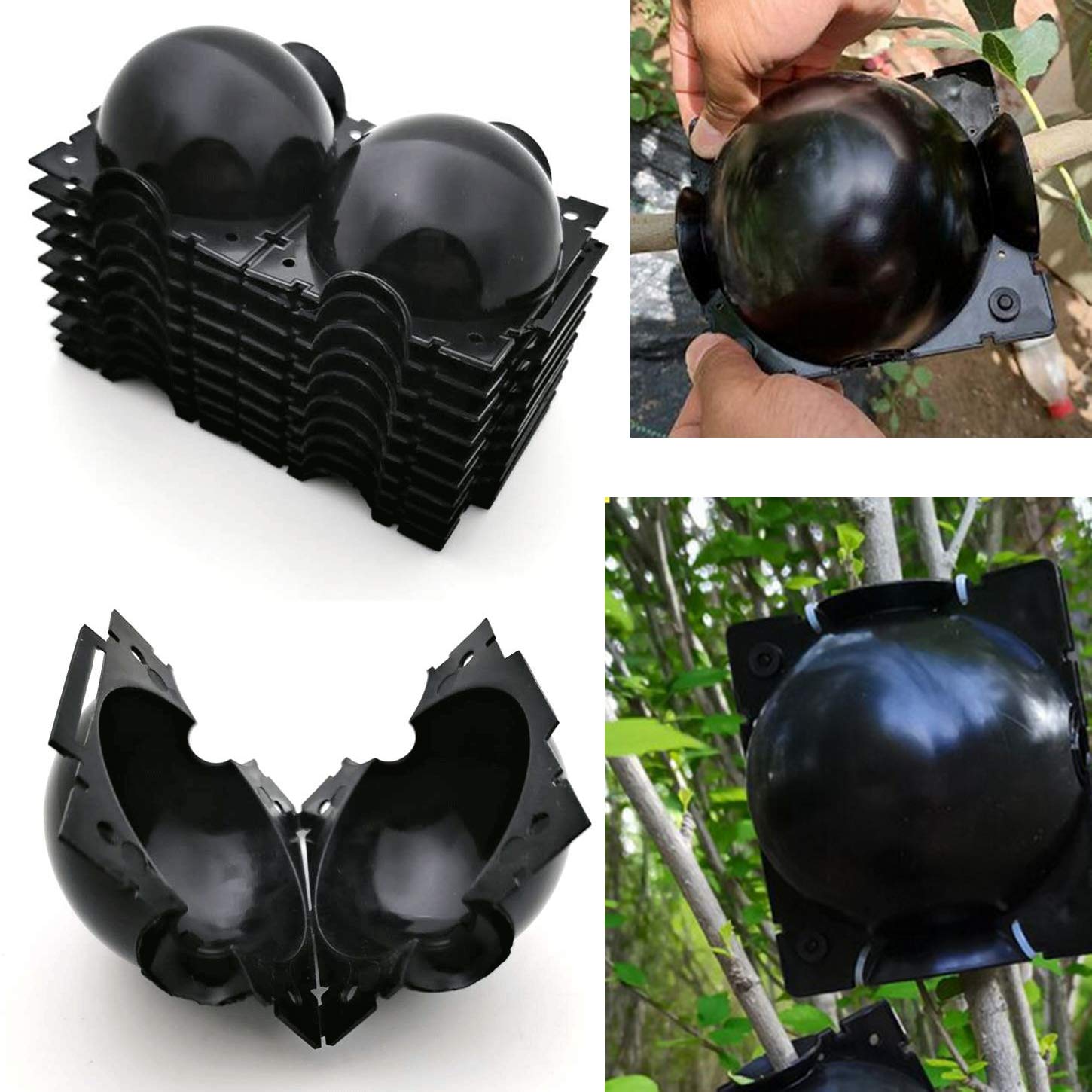 Markeny propagation device in PP plastic highlights durable, safe use around mother plants.