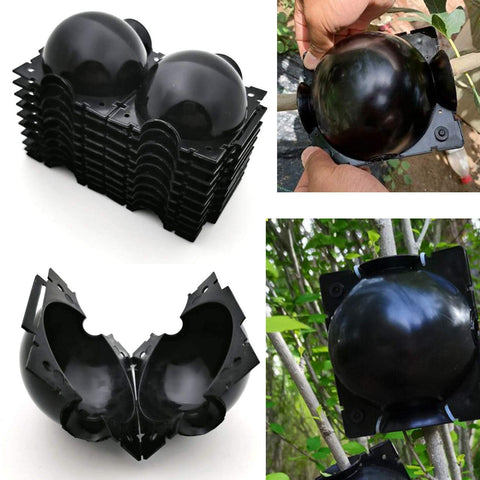 Markeny propagation device in PP plastic highlights durable, safe use around mother plants.