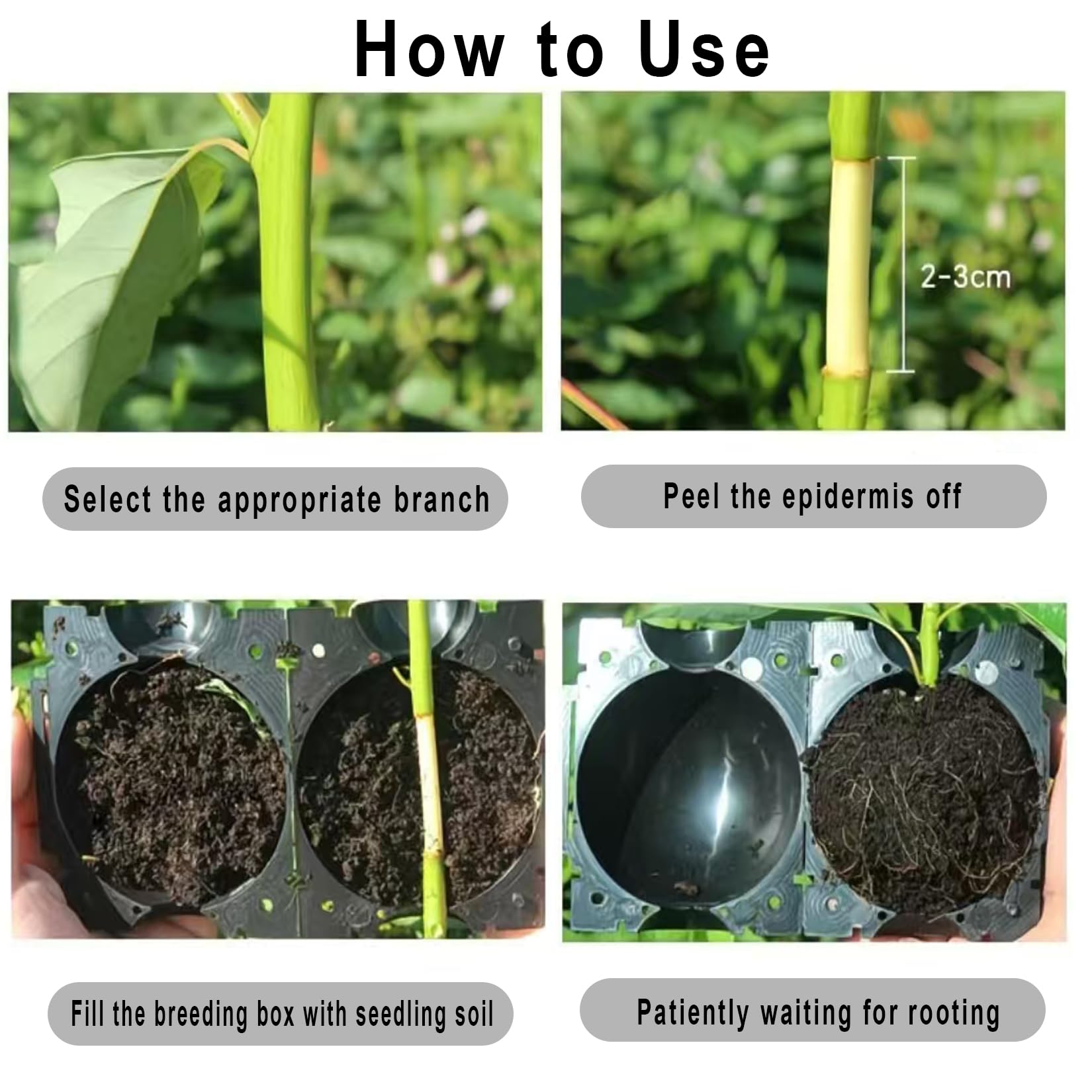 Markeny rooting ball diameter 5cm communicates size compatibility