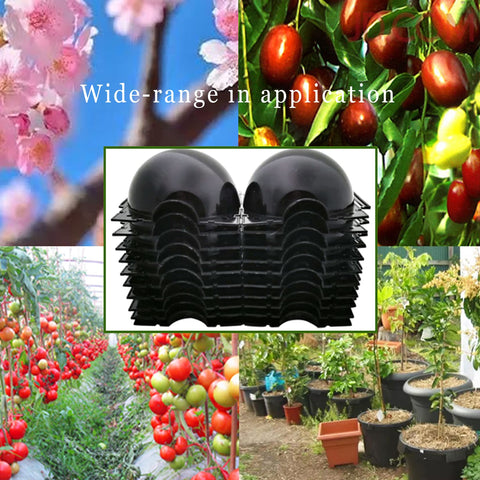 Markeny suitable for stems 1cm in diameter optimizes small-cutting propagation.