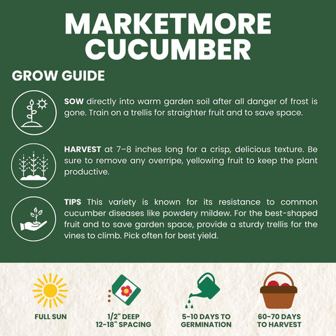Marketmore seeds in a 6-gram freshness pouch protecting viability.