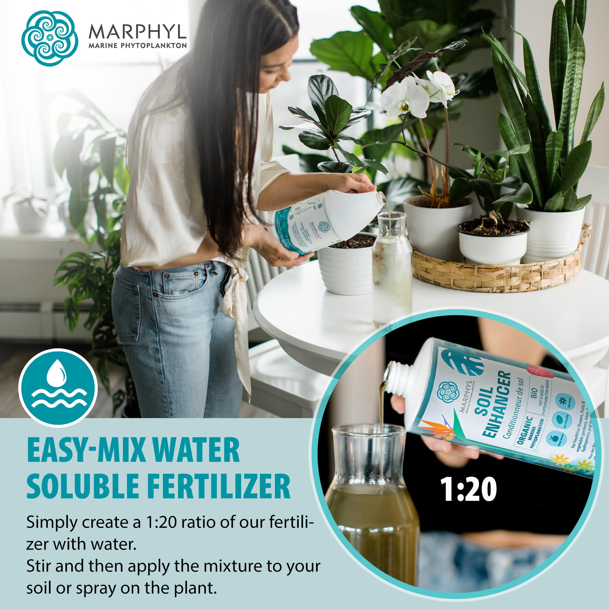 MARPHYL bamboo growth nourishes tall canes and strong foundations.
