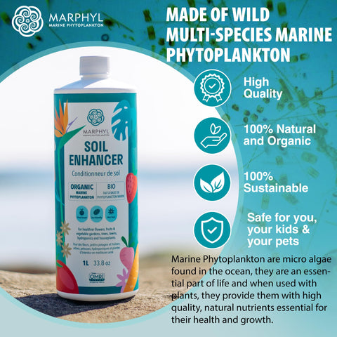 MARPHYL All-Purpose Plant Food in-use container plants demonstrating simple feeding for thriving pots.