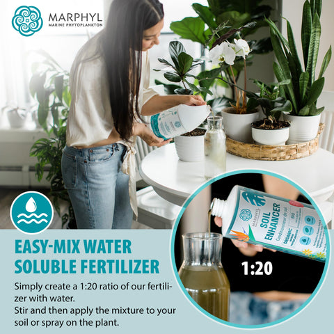 MARPHYL All-Purpose Plant Food used in indoor garden settings for steady growth.