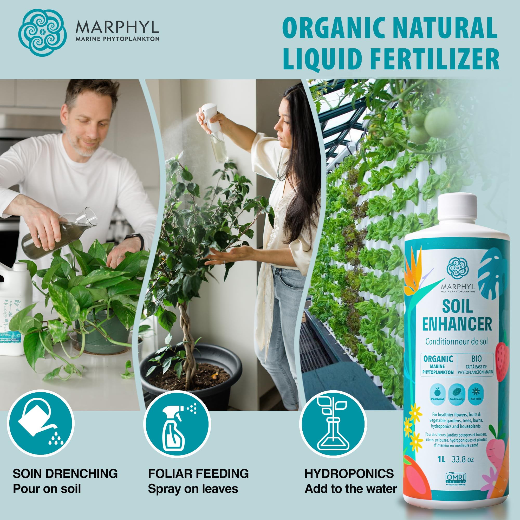 MARPHYL indoor-plants foliage thrives with vibrant, lush leaves.