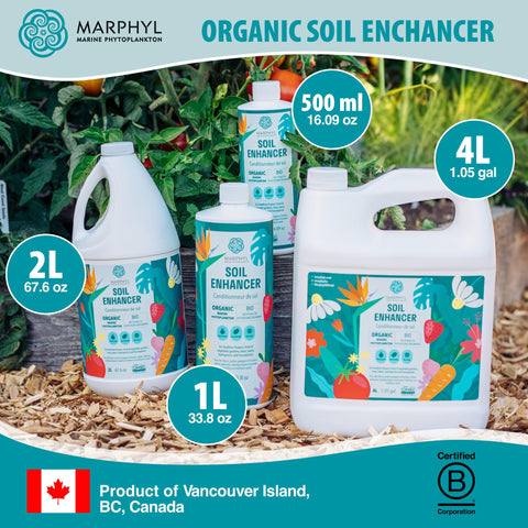MARPHYL All-Purpose Plant Food liquid close-up showing ready-to-use formula for healthy growth.