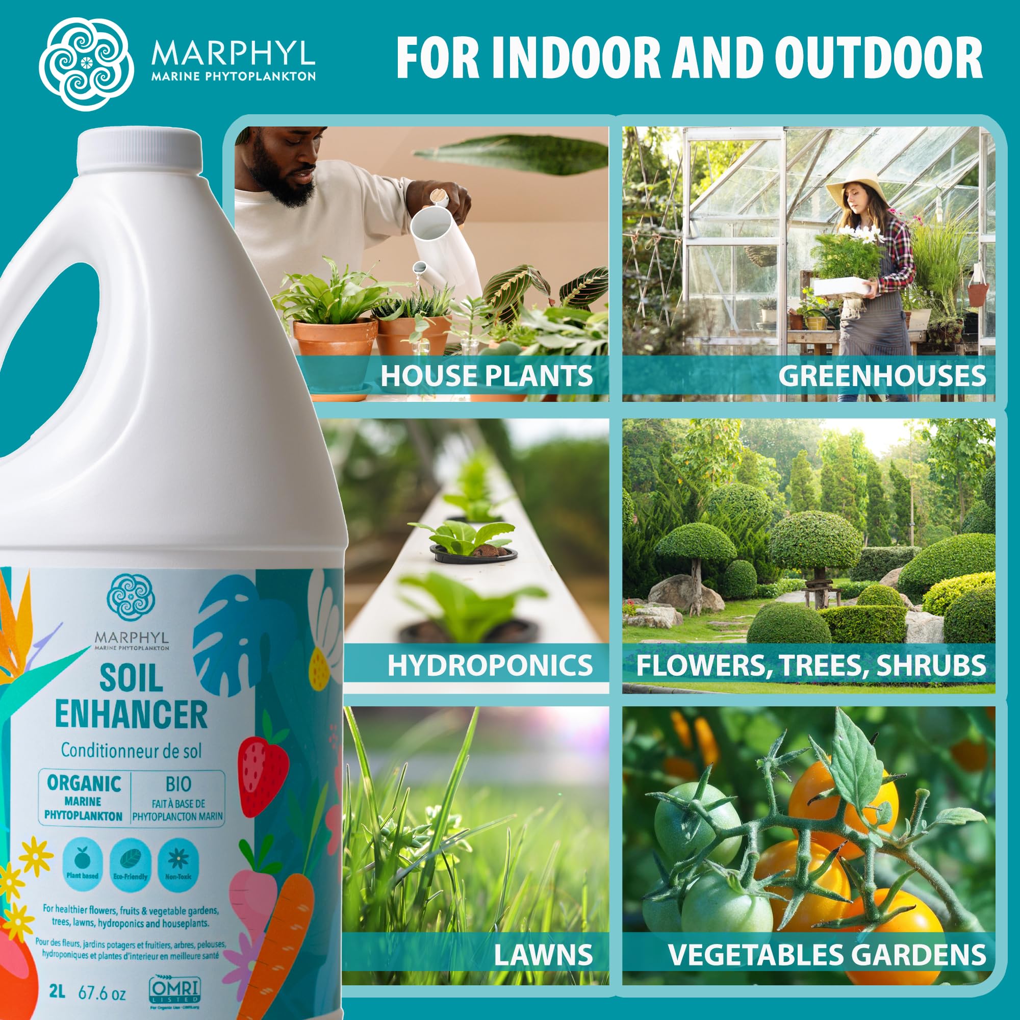 MARPHYL All-Purpose Plant Food supports robust root development.