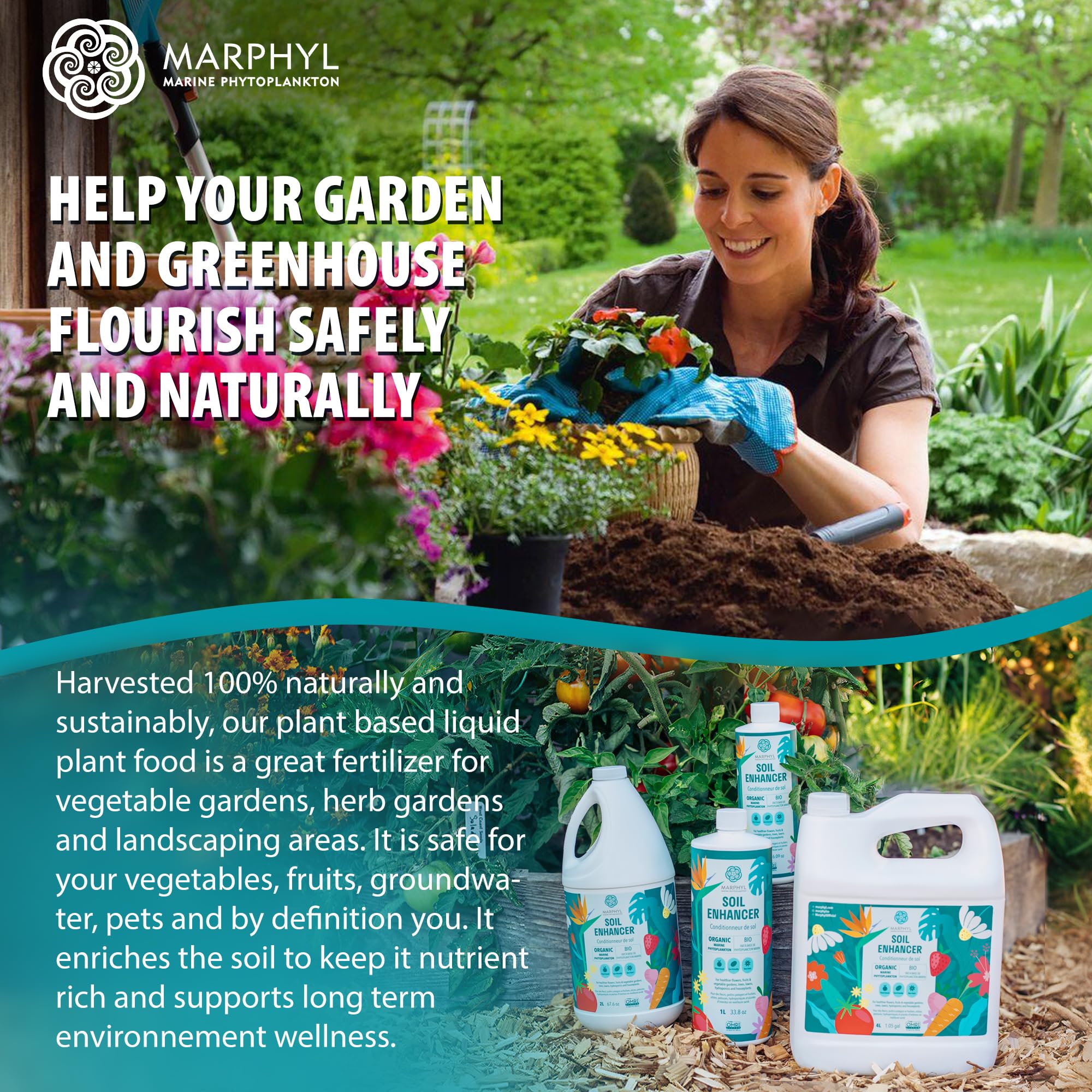 MARPHYL All-Purpose Plant Food nourishes succulents and bamboo for healthy growth.