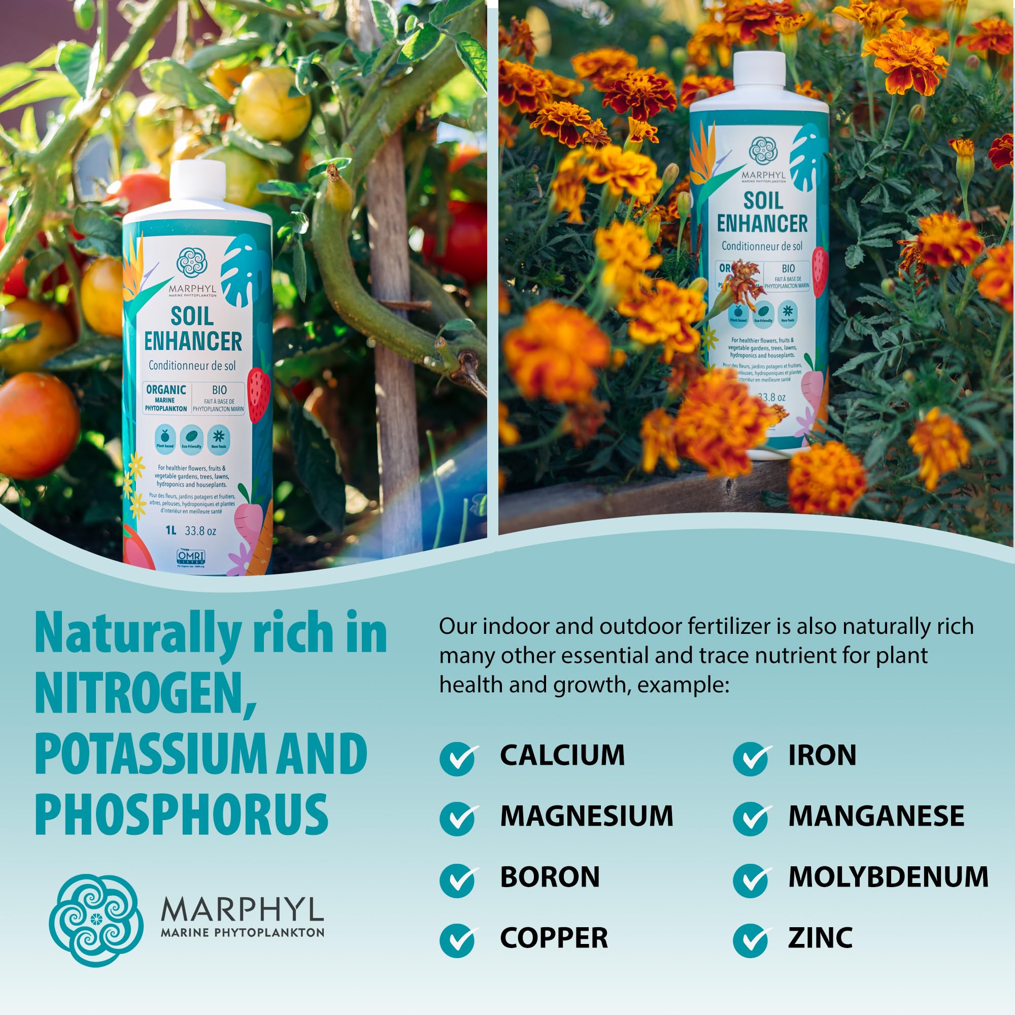 MARPHYL succulents green boost promotes sturdier leaves and longer life.