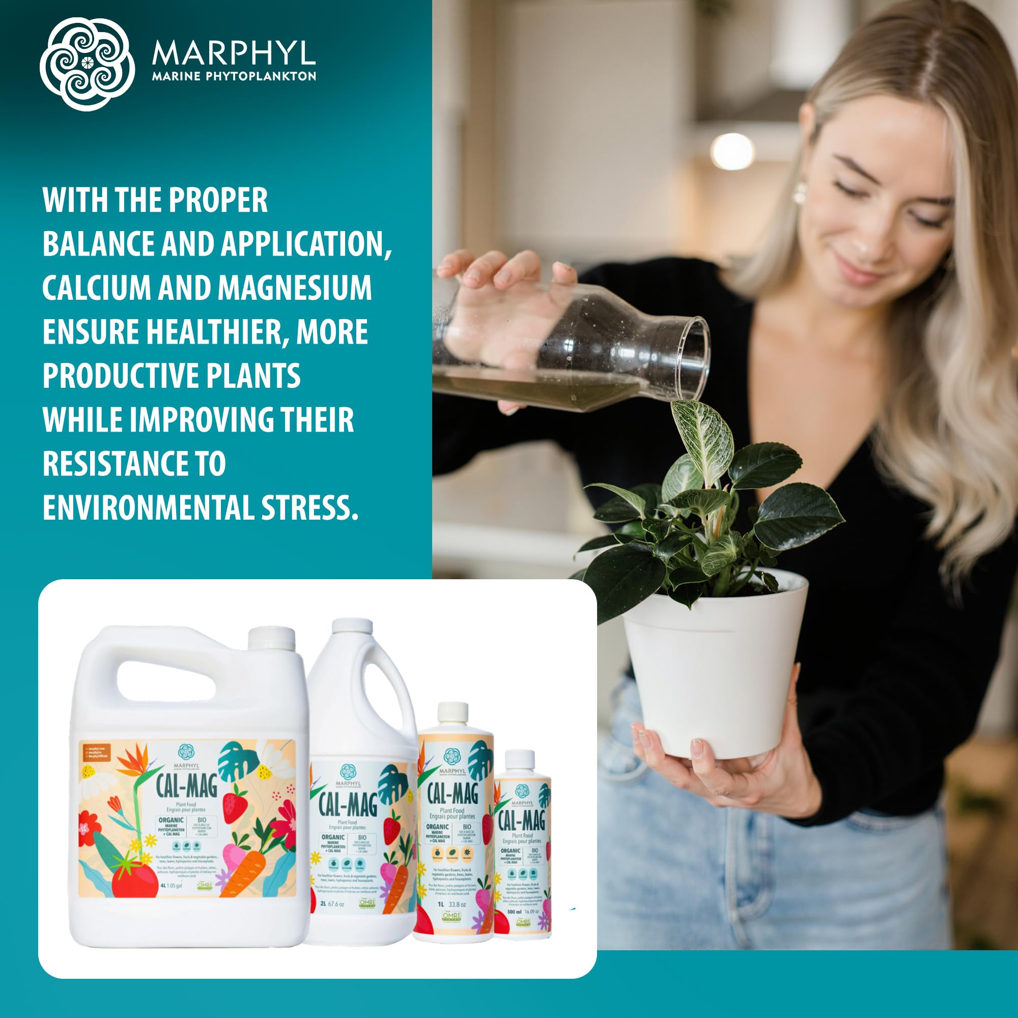 MARPHYL Cal-Mag supports vibrant flowers with strong cell development.