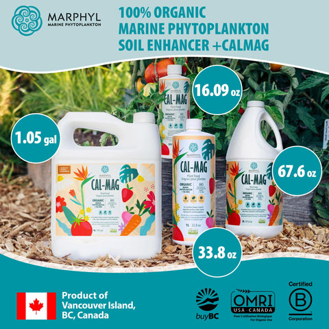 MARPHYL Cal-Mag for hydroponics promotes balanced nutrient uptake.