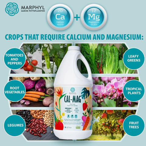 MARPHYL Cal-Mag label closeup highlights organic formula and nutrient balance.
