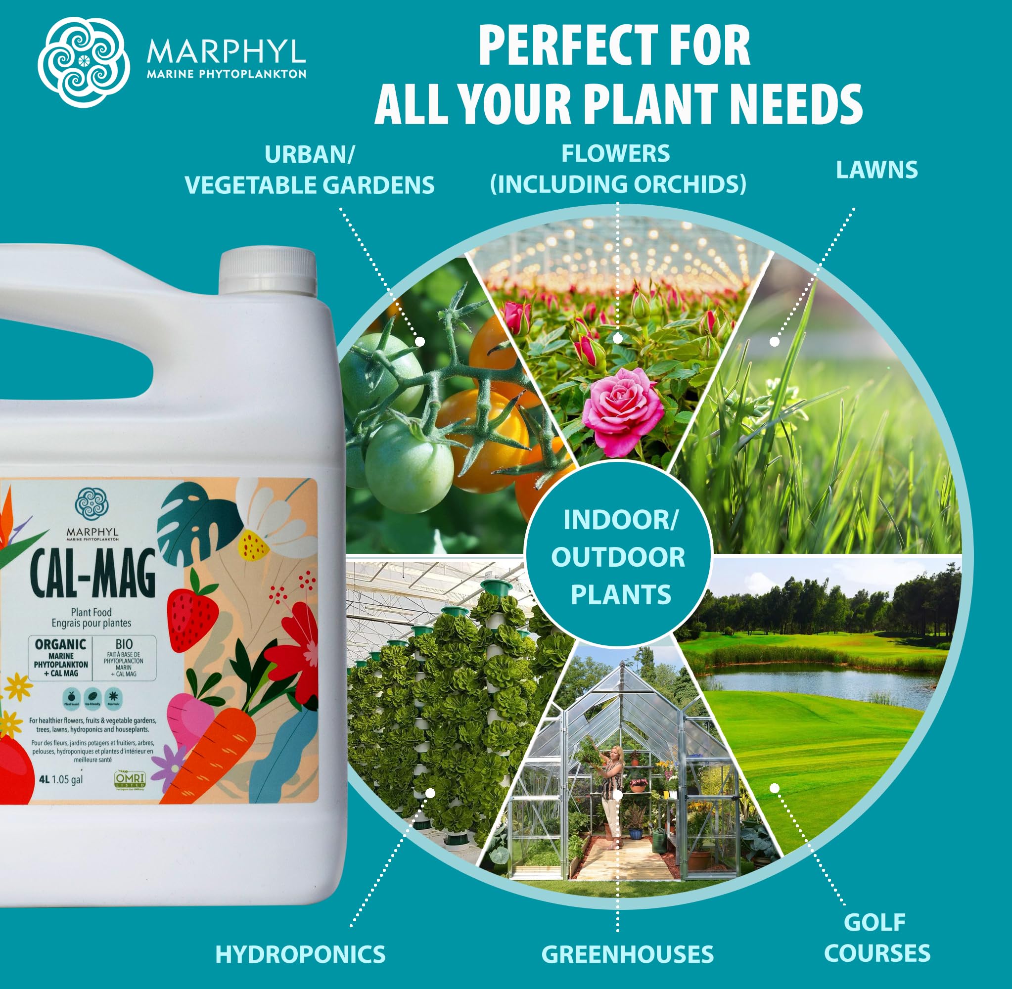 MARPHYL Cal-Mag with vegetables thriving in soil illustrates practical use.