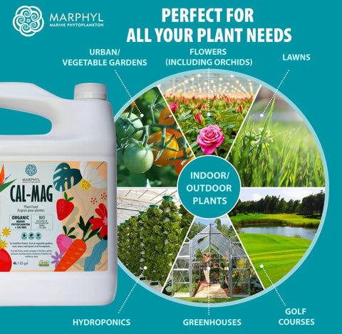 MARPHYL Cal-Mag with vegetables thriving in soil illustrates practical use.