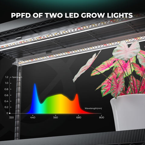 Mars Hydro 2025 adjustable shelves accommodate plants from 30 to 180 cm tall.
