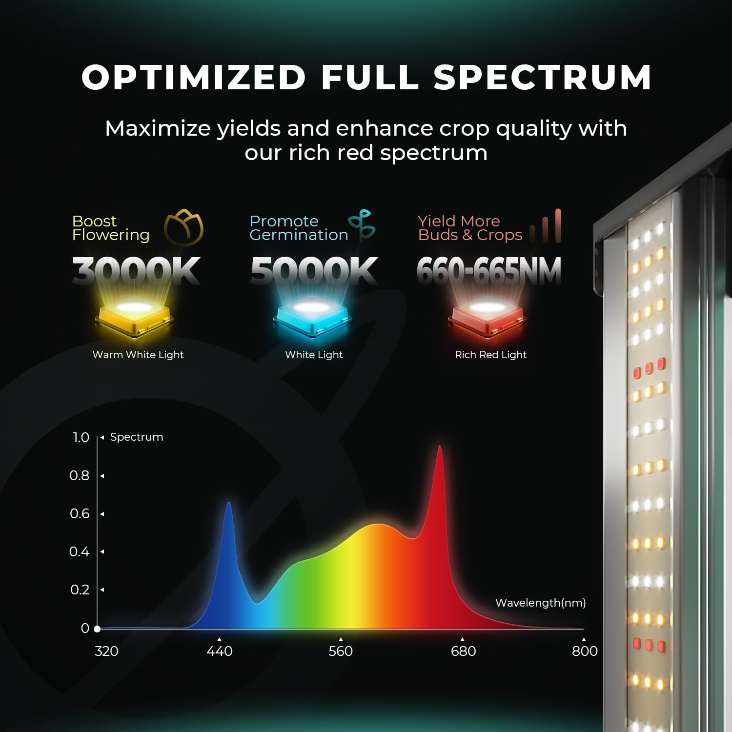 Mars Hydro FC4000 2x4 ft coverage highlights suitability for larger grow spaces