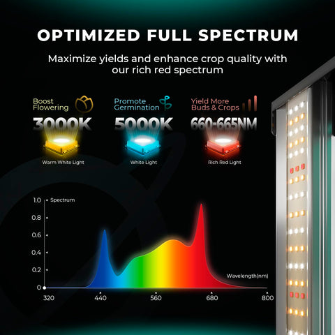 Mars Hydro FC4000 2x4 ft coverage highlights suitability for larger grow spaces