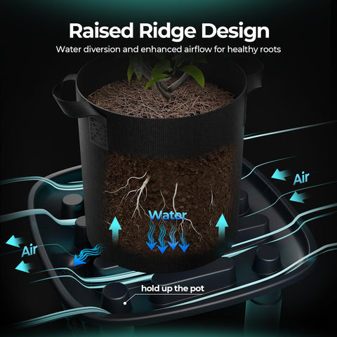 Four-pack 5-gallon grow bags for scalable indoor setups