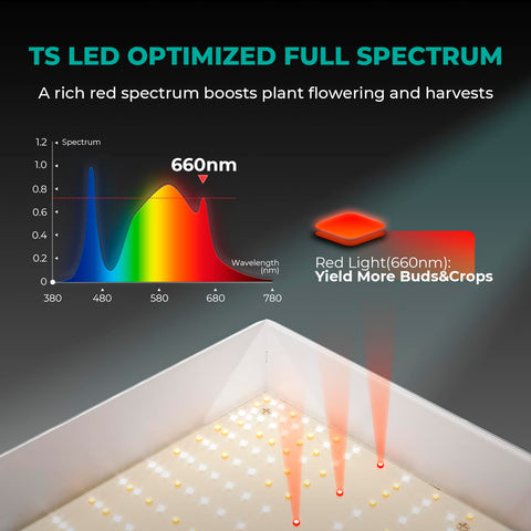 TS1000 full spectrum supports all plant growth phases from seed to flower