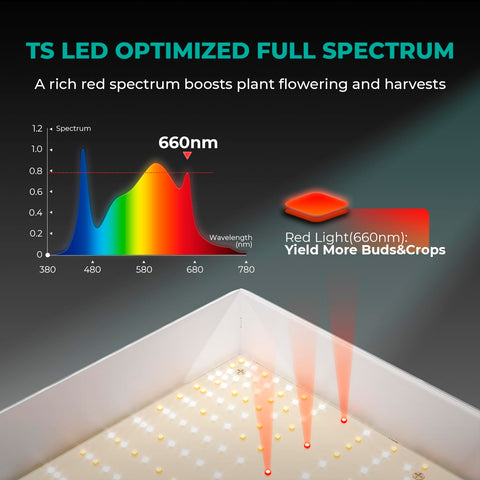 Mars Hydro TS3000 energy-efficient alternative to 600W HPS for indoor grows.