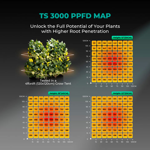 Mars Hydro TS3000 full spectrum for all growth stages indoors.