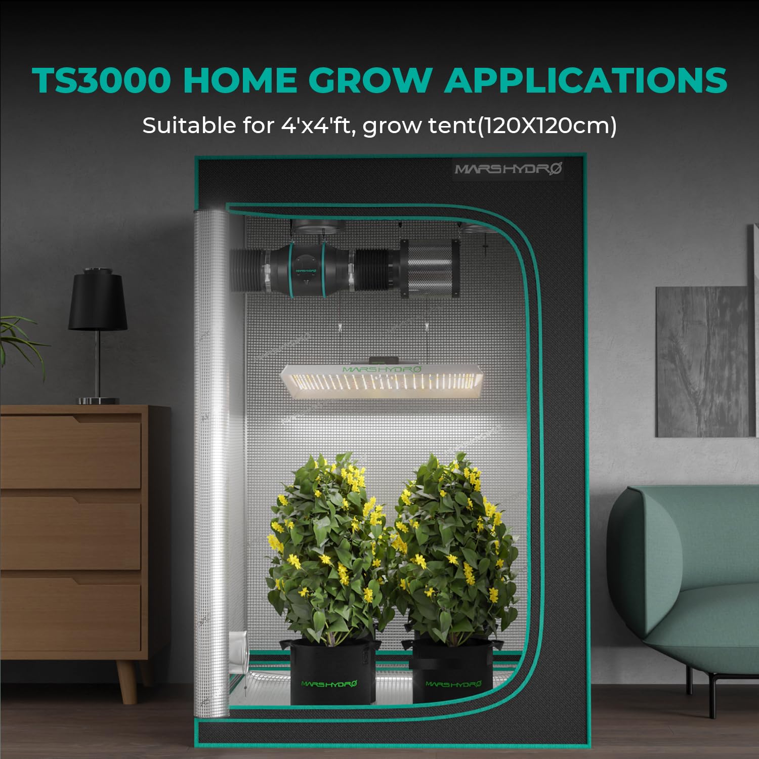 Mars Hydro TS3000 ideal for indoor grow tents and greenhouses.