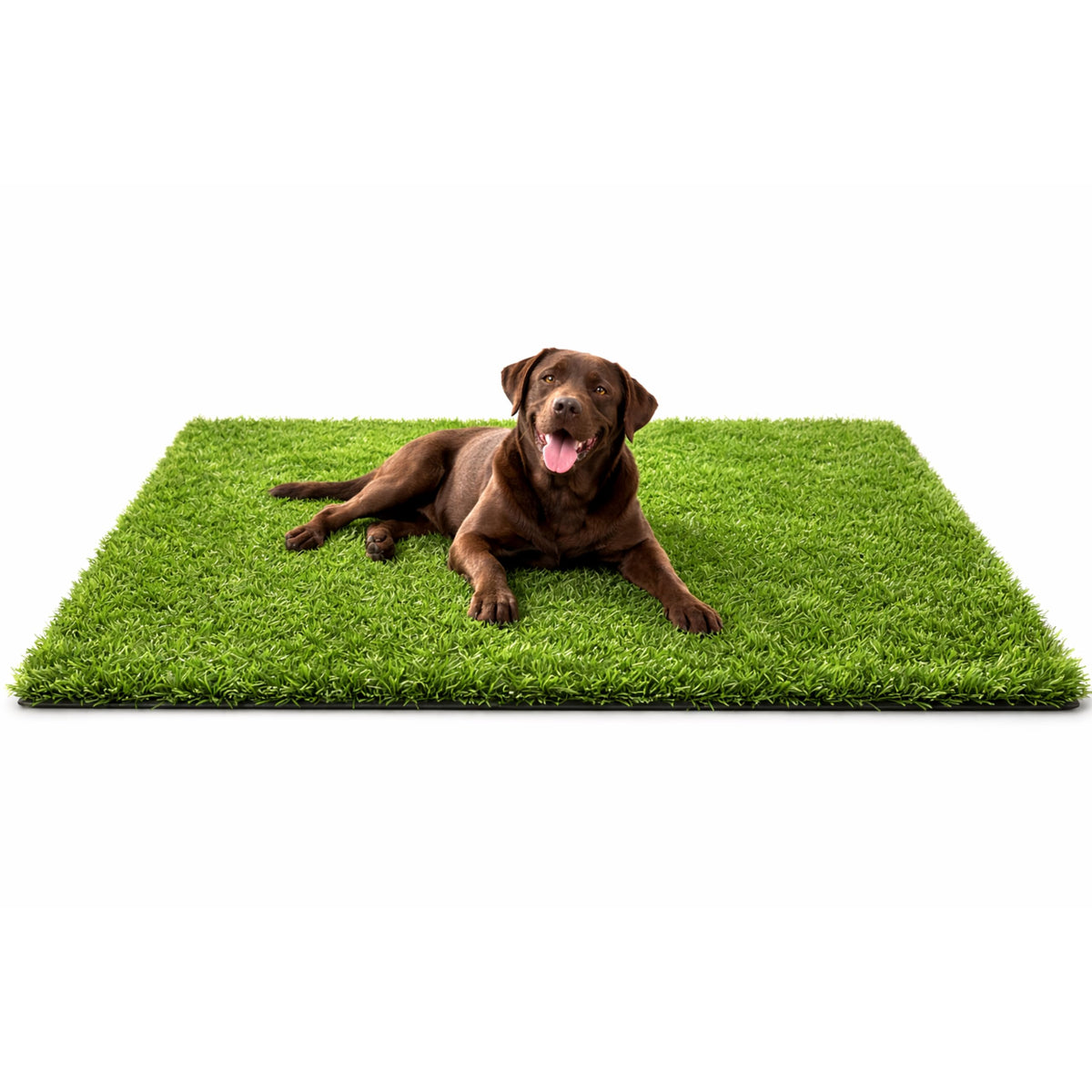 MASSTEELGER Dog Grass Rug with realistic turf for outdoor and indoor potty training
