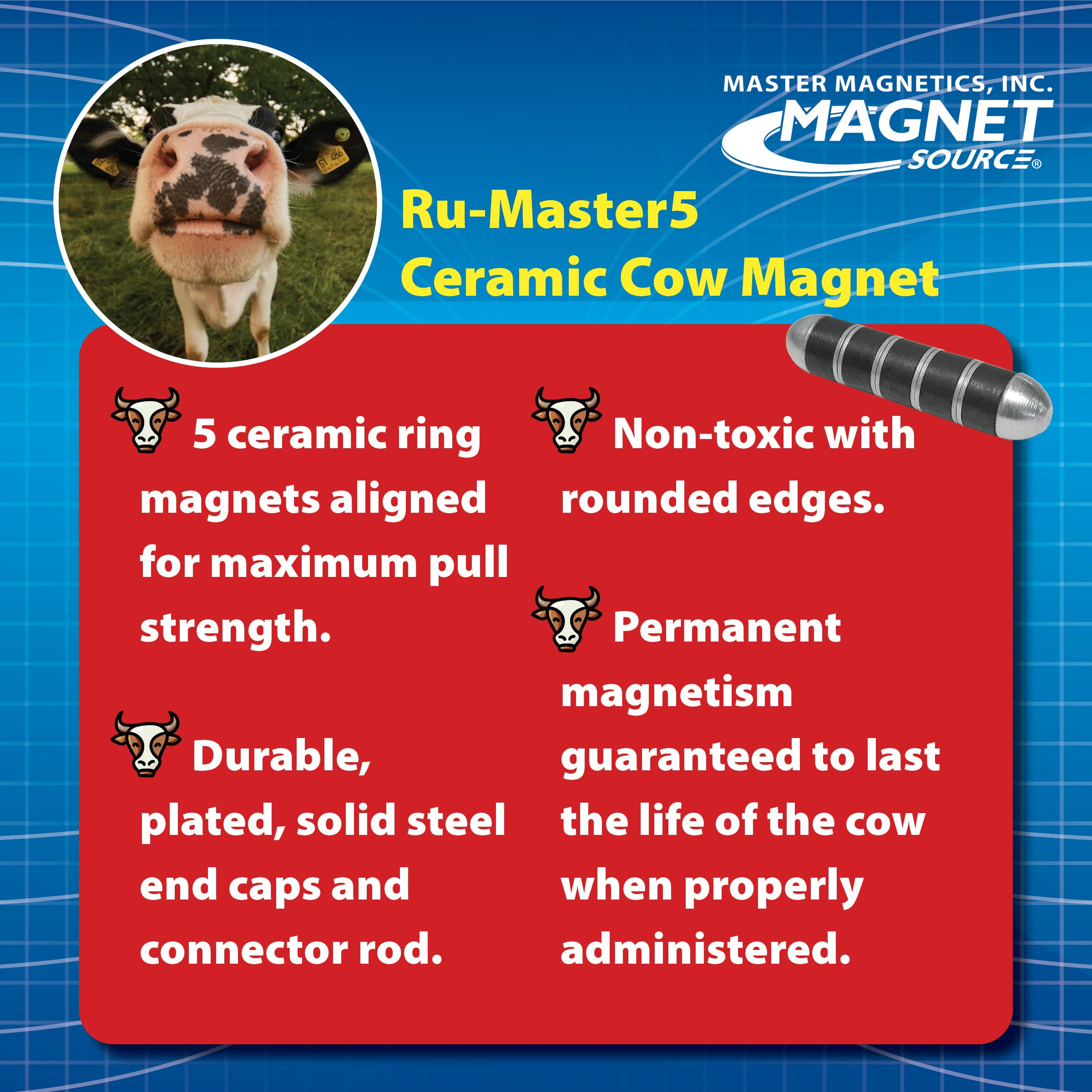 Educational tool demonstrates magnetism concepts in classrooms