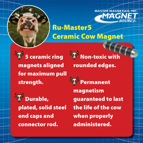 Educational tool demonstrates magnetism concepts in classrooms