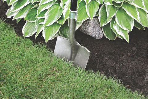 HDPE terrace board by Master Mark acts as a weed barrier in beds.