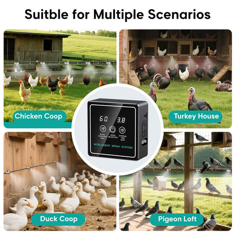 MASTERFUN Outdoor coop installation setup for effective cooling