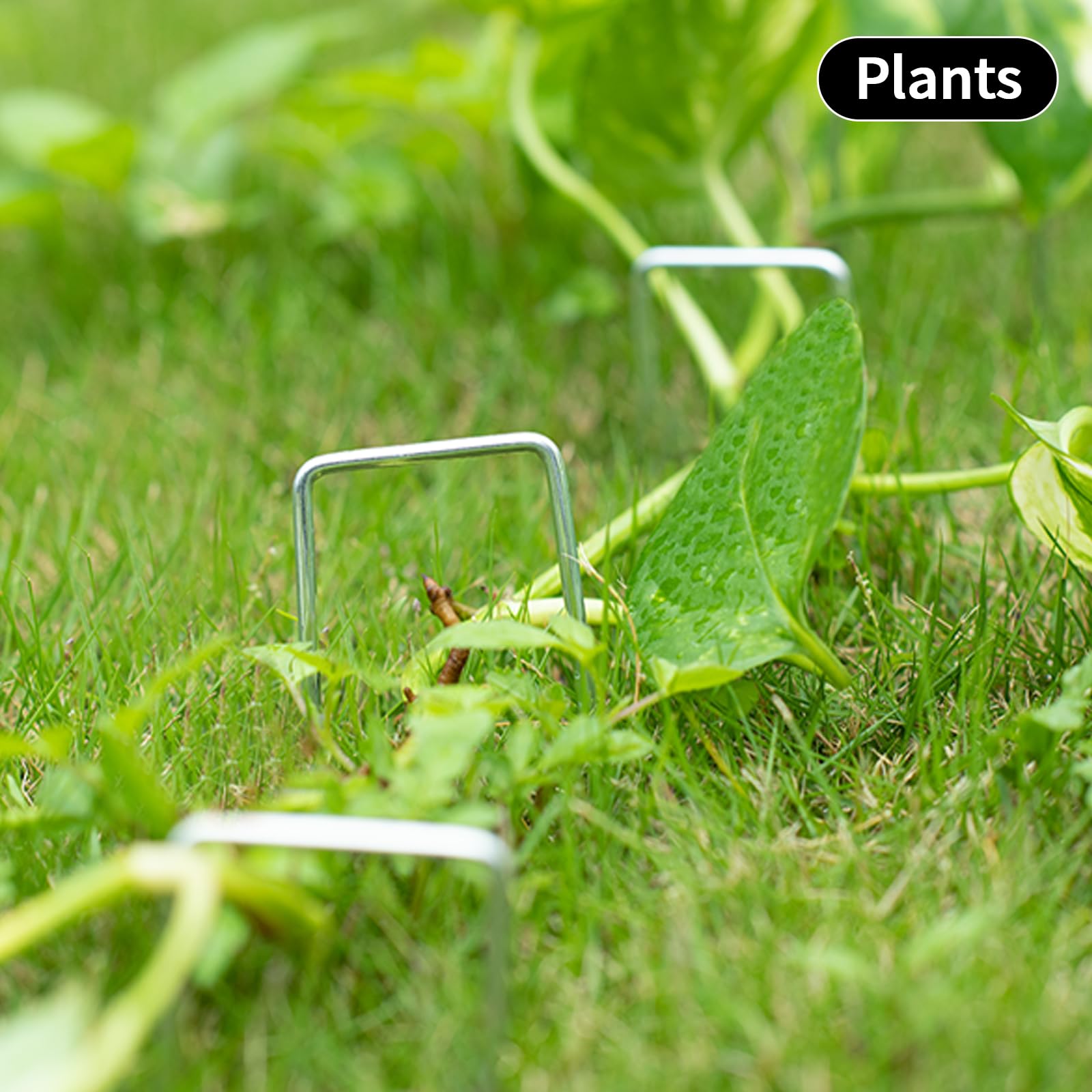 MAT 7-BANQUET multi-use landscape stakes withstand outdoor conditions