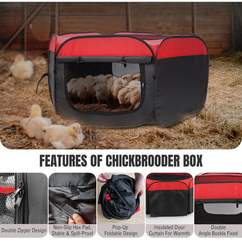 Matalde feeder and waterer keep chicks nourished and hydrated