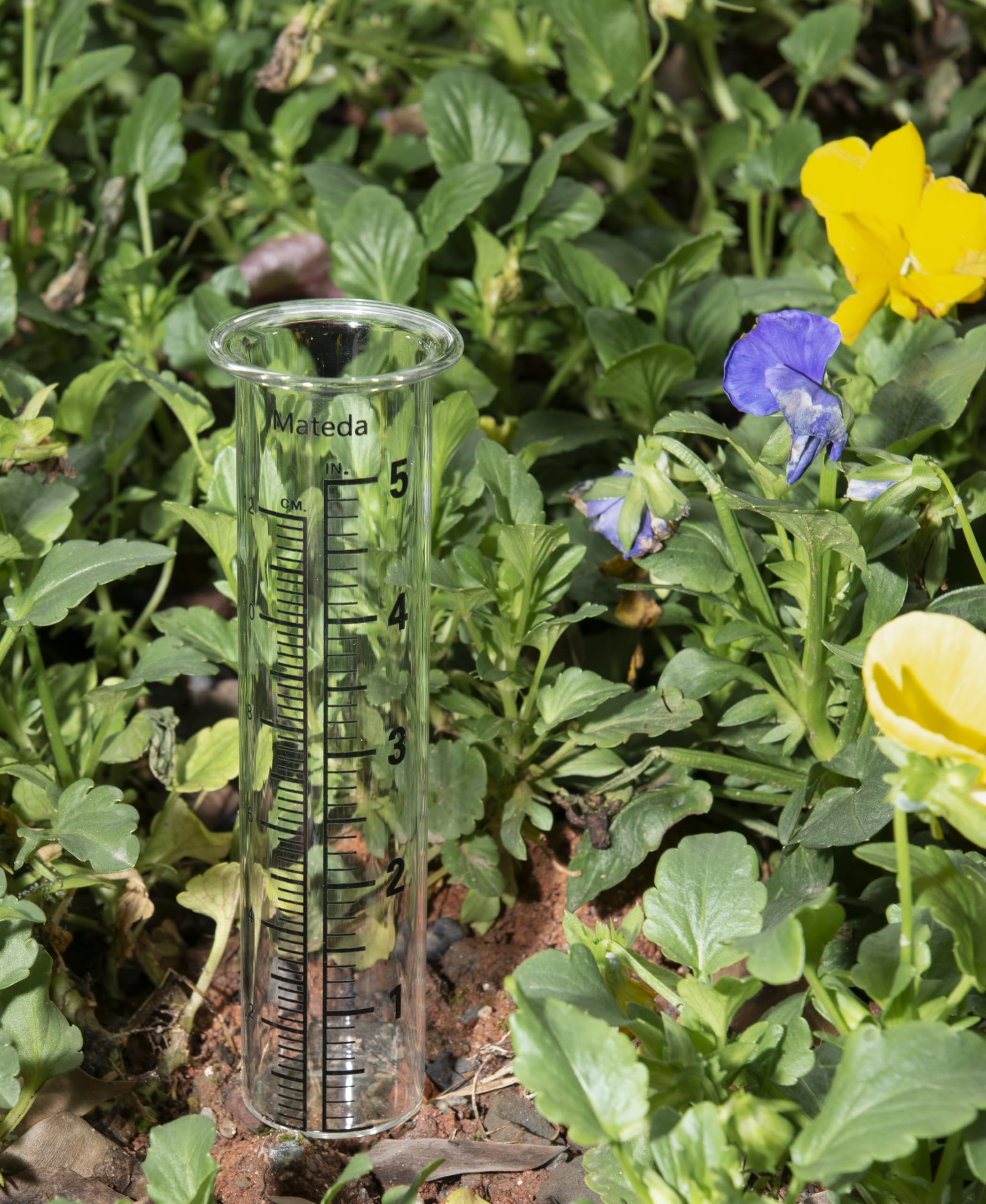 Mateda 5-inch capacity rain gauge enables precise rainfall tracking.