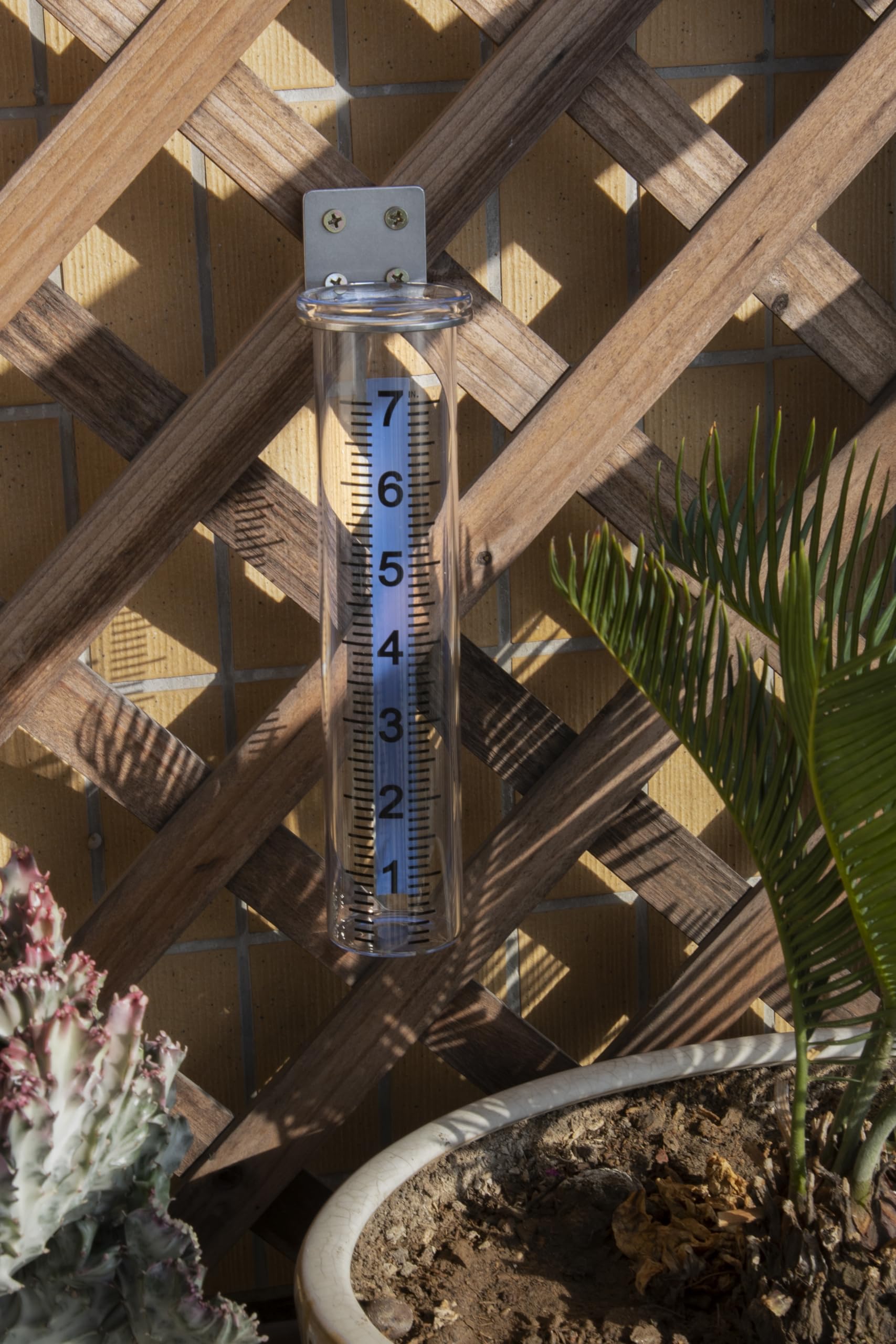 Mateda rain gauge showing a 7 inch capacity measurement