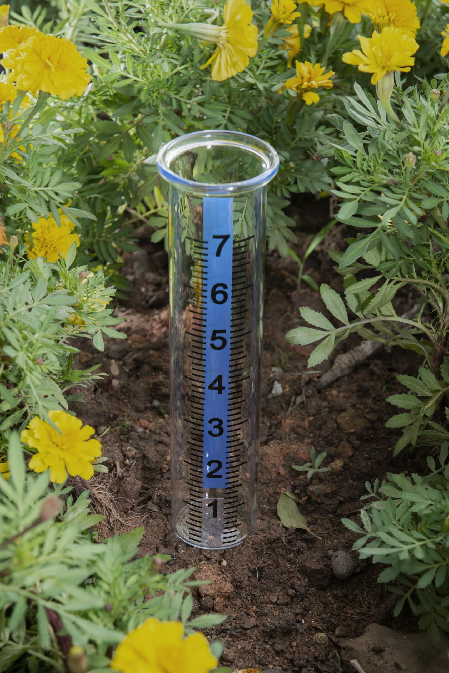 Mateda rain gauge tube showing dimensions and height