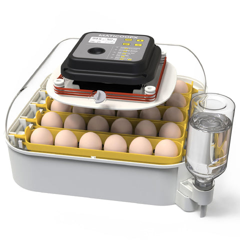 MATICOOPX 30-egg incubator with humidity display for stable egg environment.
