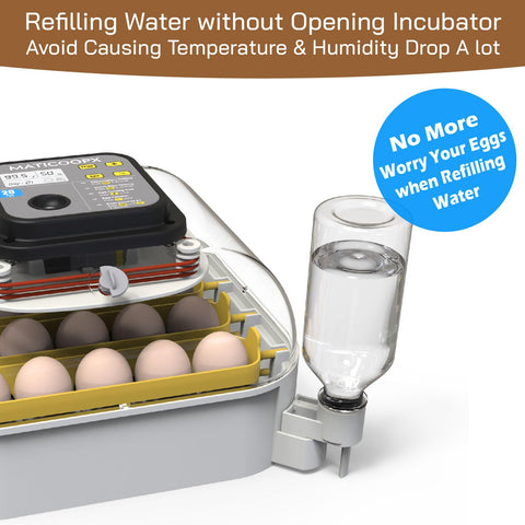 MATICOOPX automatic turner in action ensures consistent egg turning