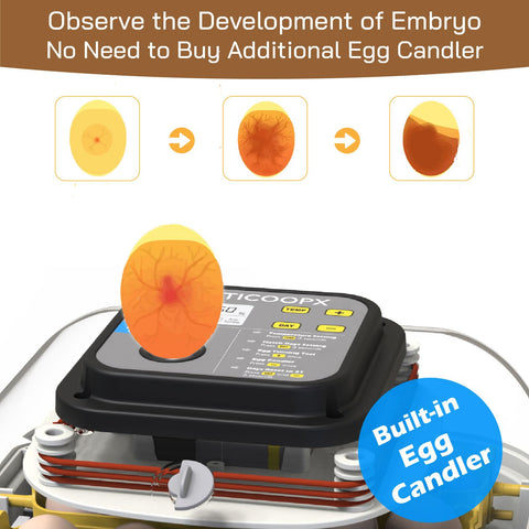 MATICOOPX built-in egg candler lets you observe embryos easily