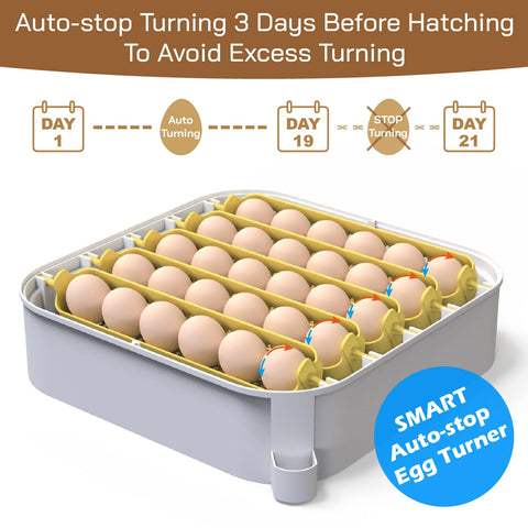 MATICOOPX interior view showing compact incubator layout.