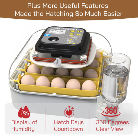 MATICOOPX interior layout supports 20-egg capacity for efficient batching