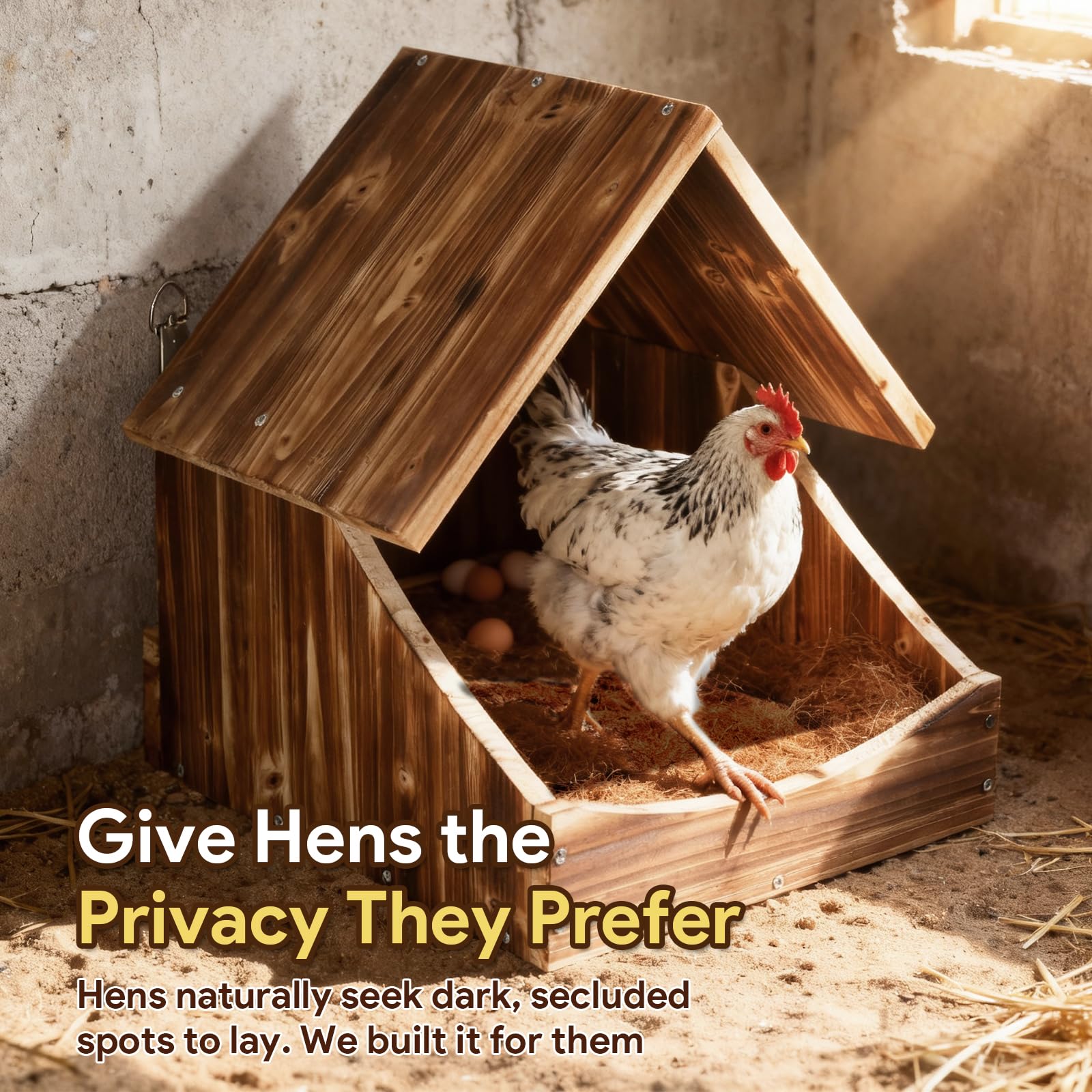 Matutinus front barrier prevents egg roll and breakage during collection